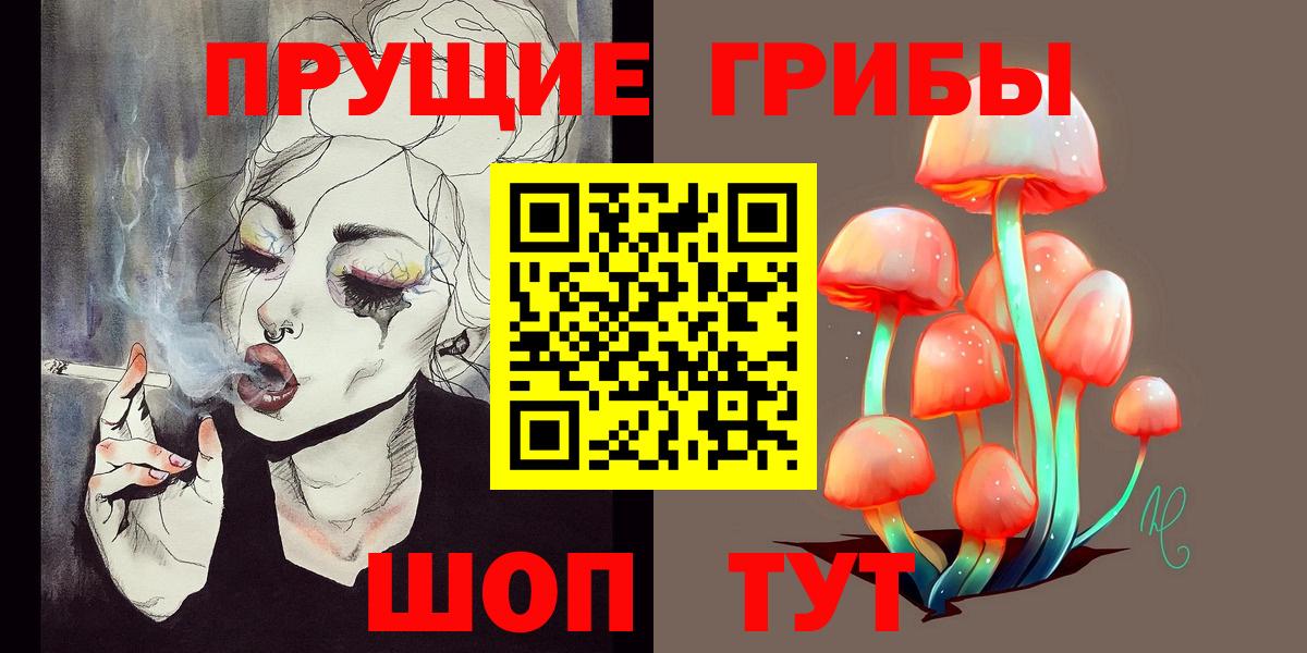 Галлюциногенные грибы GOLDEN TEACHER  Вход с VPN  Мурино 