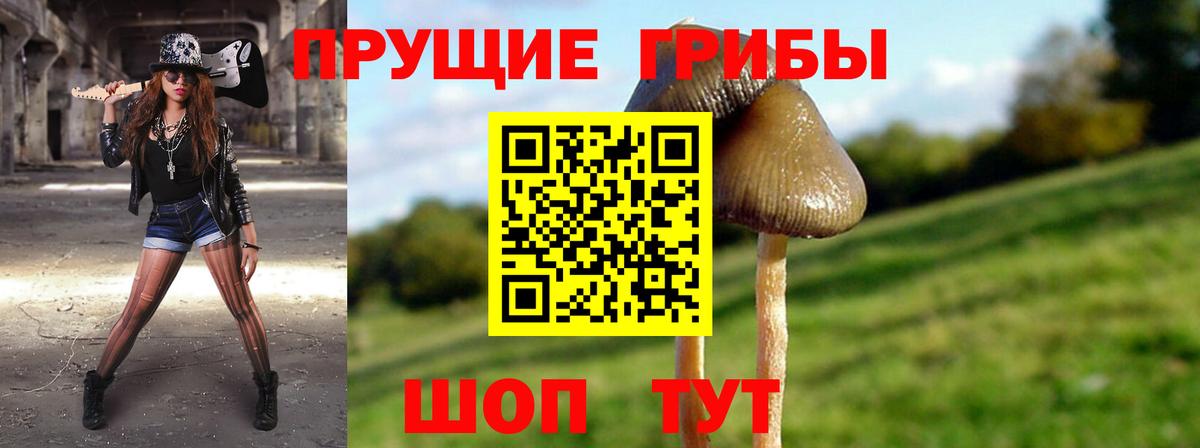 Псилоцибиновые грибы мухоморы Мурино